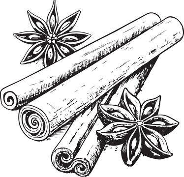 recommend clip art: Cinnamon Sticks Star Anise Sketch Drawing Engraving Hand Drawn Linear Line Black and White Vector Illustration Isolated on White