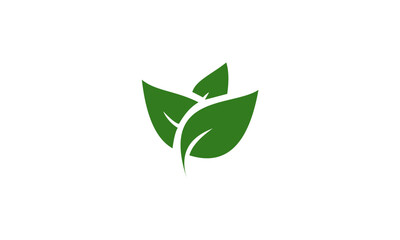 Green leaf logo