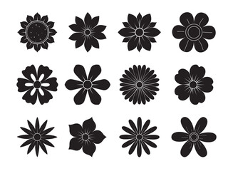 Abstract flowers black shapes, top view. Spring flora. Flat Illustration on transparent background on white background
