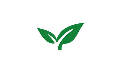 Green leaf logo