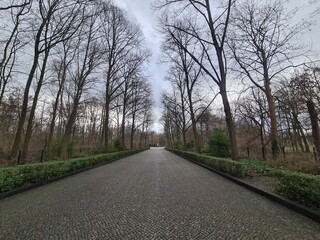 Fototapeta premium Weg zum sowjetischen Ehrenmal am Treptower Park in Berlin