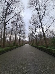 Fototapeta premium Weg zum sowjetischen Ehrenmal am Treptower Park in Berlin