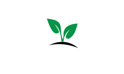 Green leaf logo