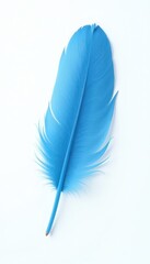 Single, soft blue feather floats against pure white background , blue feather, design, object