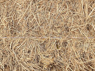 Haystack background. Hay is a tightly joined bale of straw. Bales of dried straw texture
