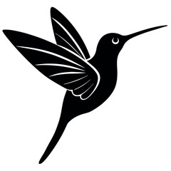 hummingbird vector illustration