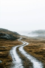 Fototapeta premium Path fading into fog evokes the fear of the unknown ahead in a muted landscape of uncertain futures