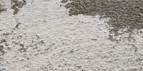 Abstract white grunge dust texture concrete wall on white background Vector for banner and business.