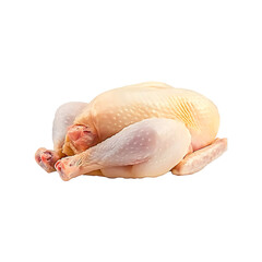 Whole raw chicken isolated on a transparent background.
