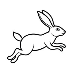 rabbit jumping 