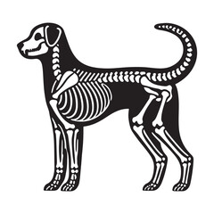 Detailed Dog Skeleton Silhouette Vector Illustration