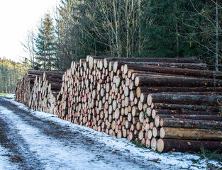 stack of logs