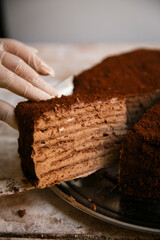 Delicious chocolate truffle cake close up