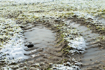 There is water and grass in a field in winter. There is snow. Tire tracks from the tractor can be seen in the soil.