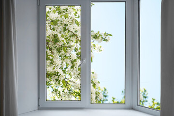 Fototapeta premium View from the window on the garden plum trees in blossom.