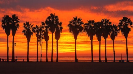 Fiery Sunset Silhouetted Palm Trees Beach Scene