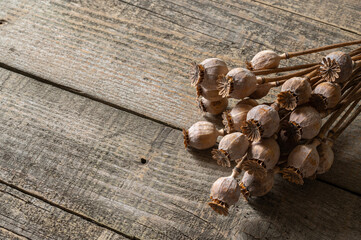 Poppy heads lie on an old wooden table. Poppy harvest