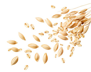Falling oat flakes isolated on white background, cutout  

