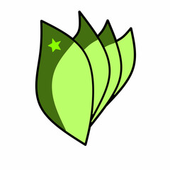 Leaf illustration