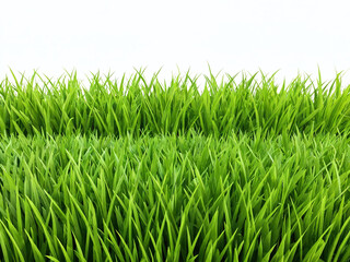 Fototapeta premium Lush green grass growing vibrantly under clear sky in a tranquil outdoor setting during daylight hours