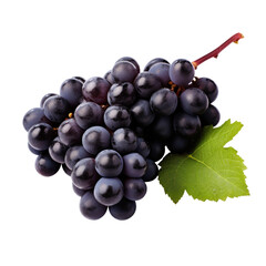 Fototapeta premium bunch of grapes isolated on white