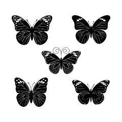 set of butterflies