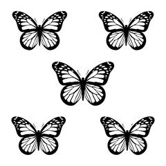 set of butterflies