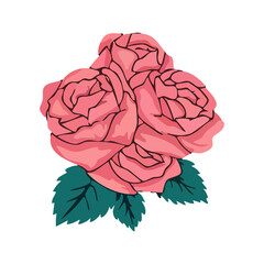 Obraz premium illustration of rose