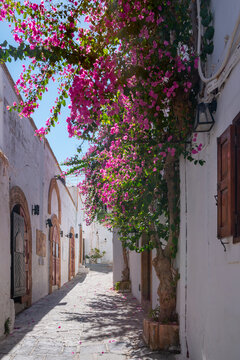 Vibrant street of Lindos town captured on a sunny day, located on the island of Rhodes