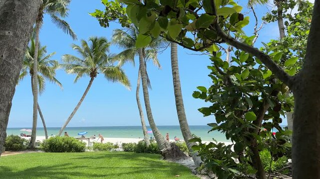 Naples Beach Florida near Naples 5th Ave downtown, palms and luxury Florida lifestyle