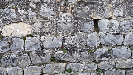 Texture of old natural stone wall with moss and plants.