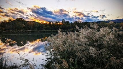 Fototapeta premium River bank with reeds and clouds at sunset.