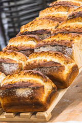 Freshly baked loaves of bread on a wooden board