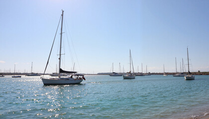 Obraz premium Tranquil sailboats anchored in calm bay under bright sunlight, serenity