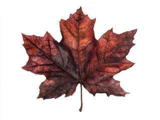 Fototapeta premium Craft stunning detailed maple leaf in vibrant autumn colors