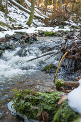 Wąw&oacute;z Myśliborski, 