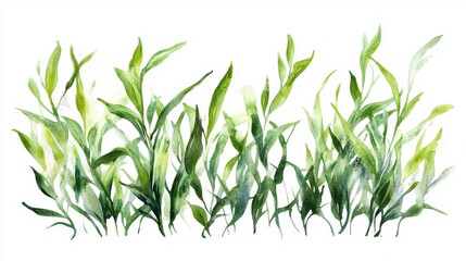 Obraz premium Watercolor Green Grass Isolated on White Background for Eco Environment Concept Design