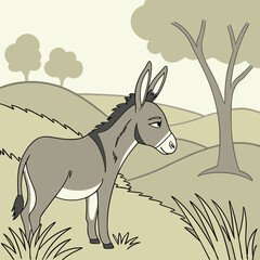 donkey in a field