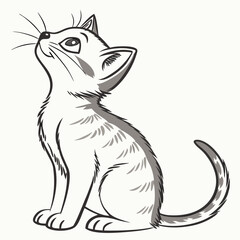 illustration of cat
