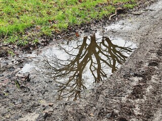 aufgeweichter matschiger Fahrbahnrand im Winterhalbjahr 