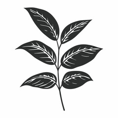 black and white plant