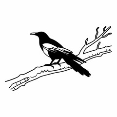 bird on a branch