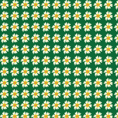 seamless pattern with camomiles