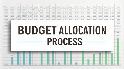 Effective Budget Allocation Process for Financial Management - Visual representation of a budget allocation process with financial data, outlines, graphical charts, and management goals.