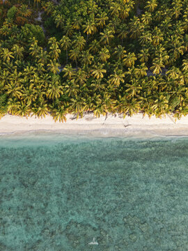 Ariel Drone shot beach island with palm trees sunset blue ocean