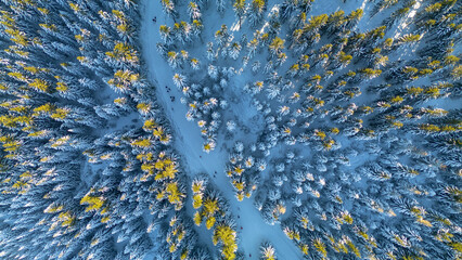 Jakuszyce in winter, bird's eye view, Lower Silesia, Poland