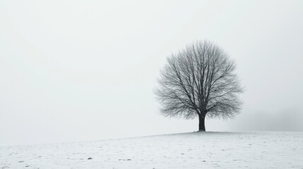 Fototapeta premium A lone tree stands in a snow-covered field