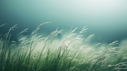 A field of grass with a light blue sky in the background