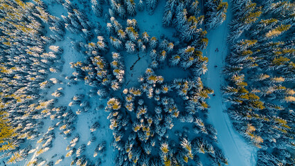 Jakuszyce in winter, bird's eye view, Lower Silesia, Poland