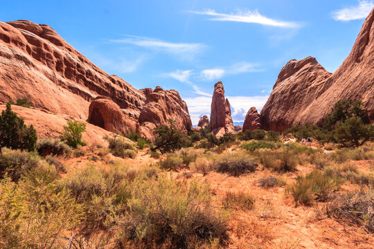 A desert landscape with a few trees and a large rock formation